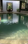 Туры в отель Hotel La Casa de los Arboles