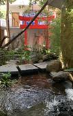 Туры в отель Hotel La Casa de los Arboles