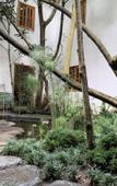 Туры в отель Hotel La Casa de los Arboles