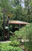 Туры в отель Hotel La Casa de los Arboles