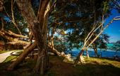 Туры в отель Hotel Carolina Bacalar