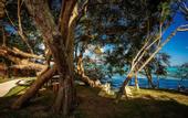 Туры в отель Hotel Carolina Bacalar