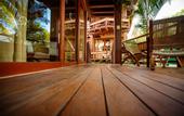 Туры в отель Hotel Carolina Bacalar