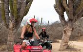 Туры в отель Mayan Monkey Los Cabos , Social Hotel