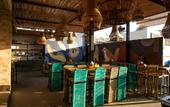 Туры в отель Mayan Monkey Los Cabos , Social Hotel