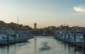 Туры в отель Mayan Monkey Los Cabos , Social Hotel