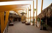 Туры в отель Mayan Monkey Los Cabos , Social Hotel
