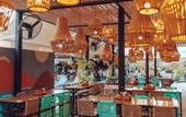 Туры в отель Mayan Monkey Los Cabos , Social Hotel