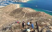 Туры в отель Mayan Monkey Los Cabos , Social Hotel