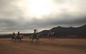 Туры в отель Mayan Monkey Los Cabos , Social Hotel