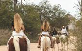 Туры в отель Mayan Monkey Los Cabos , Social Hotel