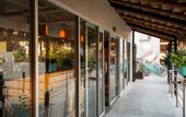 Туры в отель Mayan Monkey Los Cabos , Social Hotel