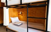 Туры в отель Mayan Monkey Los Cabos , Social Hotel