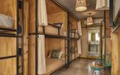 Туры в отель Mayan Monkey Los Cabos , Social Hotel