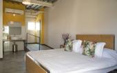 Туры в отель Mayan Monkey Los Cabos , Social Hotel