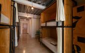 Туры в отель Mayan Monkey Los Cabos , Social Hotel