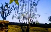 Туры в отель Hacienda el Salitre Hotel & Spa