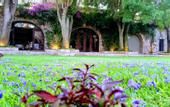 Туры в отель Hacienda el Salitre Hotel & Spa