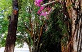 Туры в отель Hacienda el Salitre Hotel & Spa