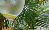 Туры в отель Hotel Boutique La Pergola