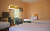 Туры в отель OYO Hotel Trigos De Oro,San Luis Teolocholco Park