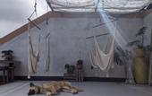 Туры в отель Native Residence