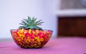 Туры в отель Hotel Boutique Mardeka