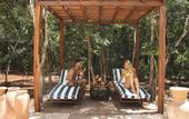 Туры в отель Oriundo Luxury Nature Villas