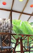 Туры в отель Maison Bacalar