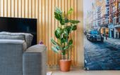 Туры в отель Anahuac Apartments by VH