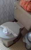 Туры в отель Hotel Bungalows la Era