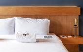 Туры в отель Wynwood House Darwin