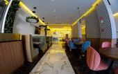 Туры в отель Hotel Antre Chapultepec