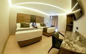 Туры в отель Hotel Antre Chapultepec