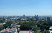 Туры в отель Hotel Antre Chapultepec