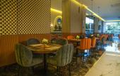 Туры в отель Hotel Antre Chapultepec
