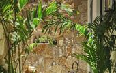 Туры в отель Four Seasons Resort Cabo Del Sol