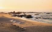 Туры в отель Four Seasons Resort Cabo Del Sol