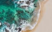 Туры в отель Four Seasons Resort Cabo Del Sol