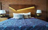 Туры в отель Hotel Casa Chanehque