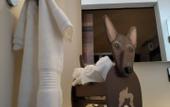 Туры в отель Hotel Casa Chanehque