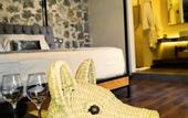 Туры в отель Hotel Casa Chanehque
