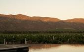 Туры в отель Bruma Wine Resort