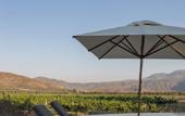 Туры в отель Bruma Wine Resort