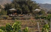 Туры в отель Bruma Wine Resort