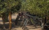Туры в отель Bruma Wine Resort