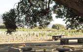 Туры в отель Bruma Wine Resort