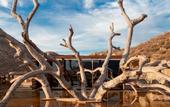 Туры в отель Bruma Wine Resort