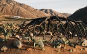 Туры в отель Bruma Wine Resort