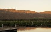 Туры в отель Bruma Wine Resort